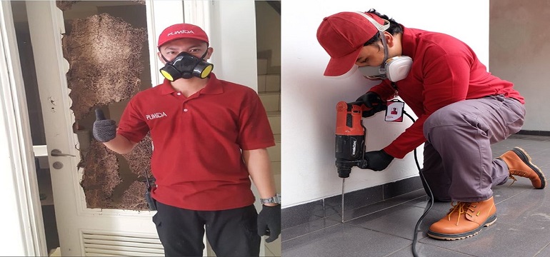 Rekomendasi Jasa Anti Rayap Terbaik untuk Perlindungan Bangunan Anda
