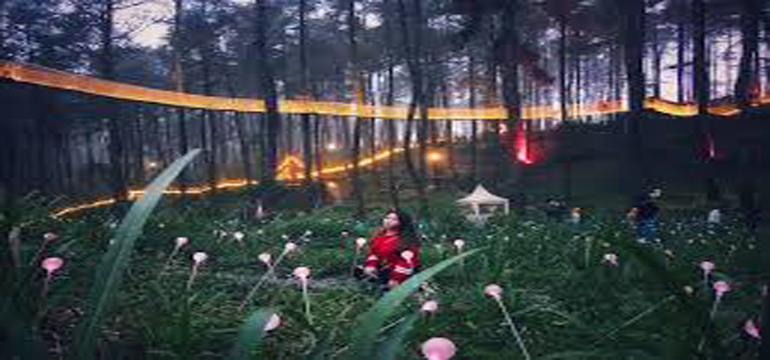 Orchid Forest, Ekowisata yang Ciamik dan Ramah Anak  di Cikole Lembang Bandung