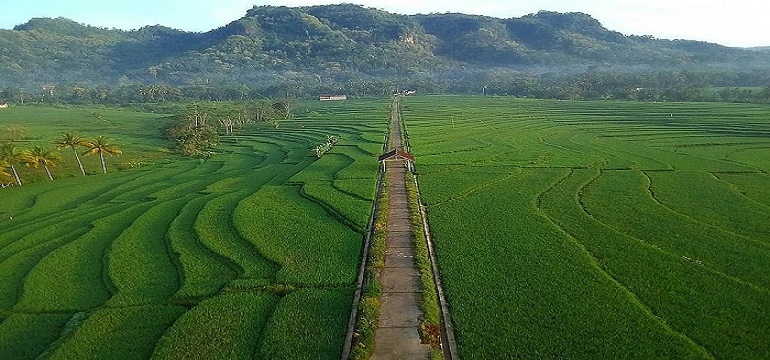 Destinasi Wisata Anti Mainstream Yogyakarta Terkini