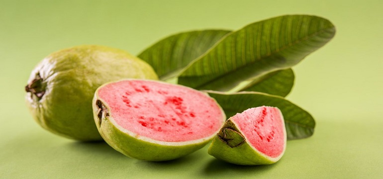 Yuk Simak Manfaat Buah Jambu Biji untuk Menyembuhkan Berbagai Macam Penyakit!