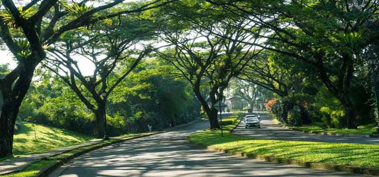 Menguatkan Komitmen Lingkungan melalui Portal dlhbanjarbaru.id