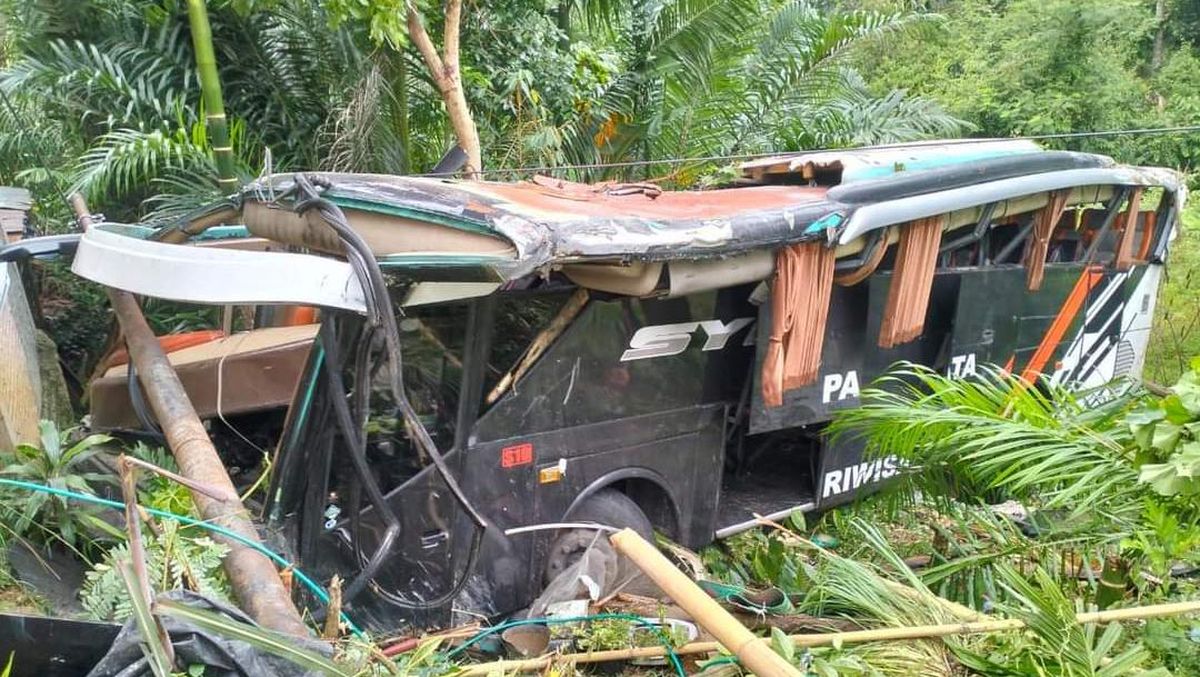 Bus Study Tour Terperosok ke Jurang di Lampung, 6 Orang Luka Berat