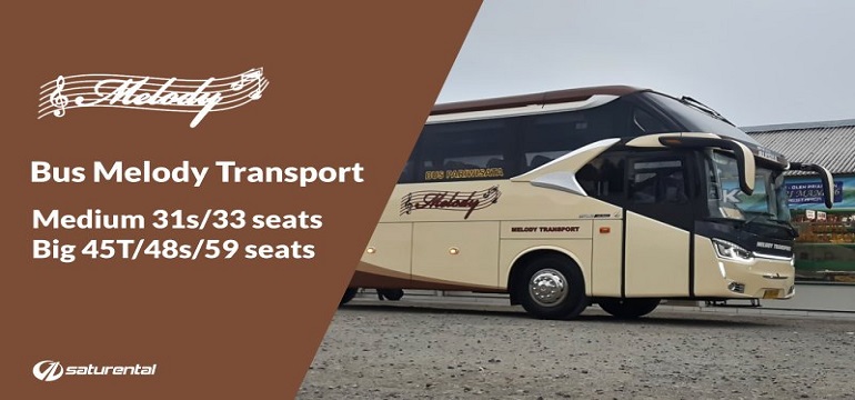 Ini Alasannya Mengapa Memilih Bus Pariwisata Sebagai Solusi Terbaik Untuk Perjalanan Liburan