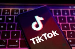 Jangan Asal Pilih! Panduan Memilih Jasa Vote TikTok Terpercaya yang Nggak Bikin Akunmu Kena Shadowban!