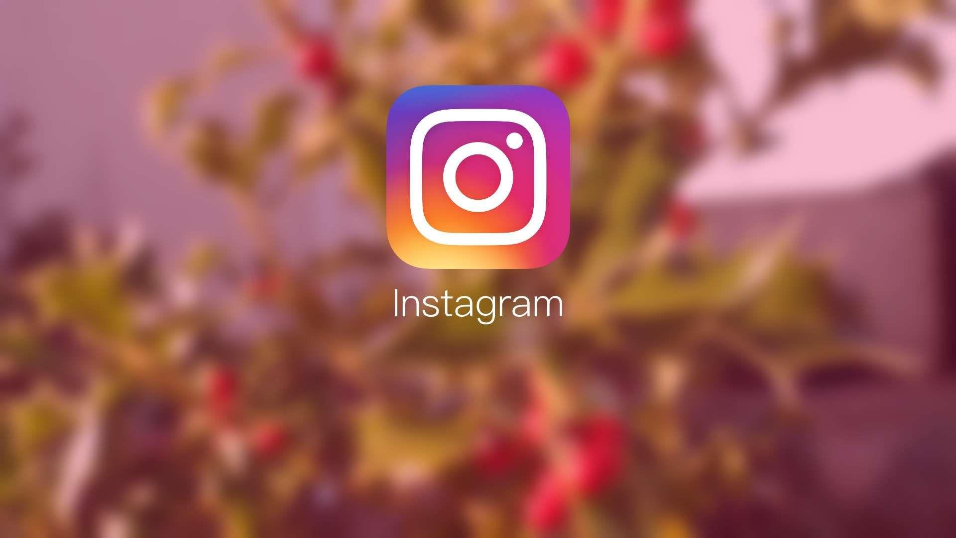 Strategi Membangun Audiens Loyal di Instagram dengan Followers Berkualitas