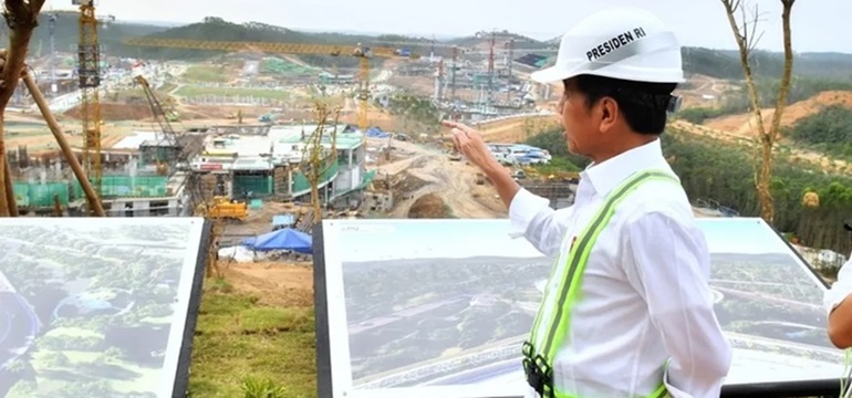 Membongkar Fakta: Dampak IKN Terhadap Habitat dan Hutan