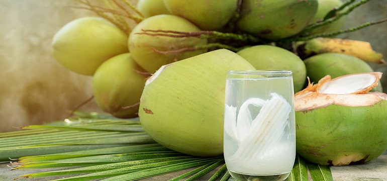 Memanfaatkan Air Kelapa untuk Kesehatan, Bisa sebagai Penambah Energi