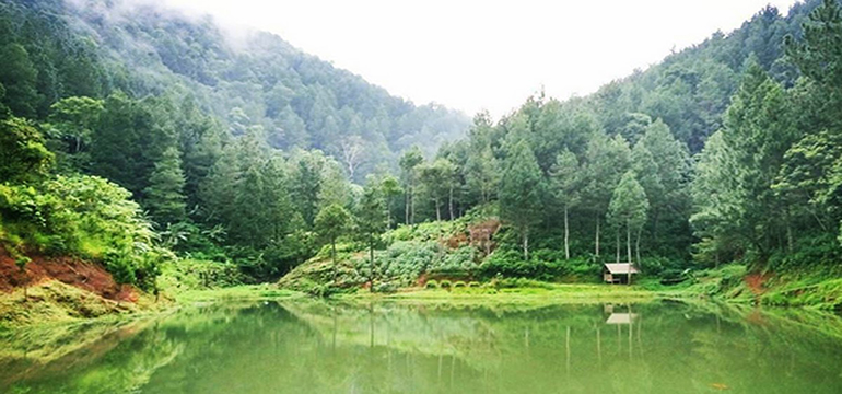 Situ Wulukut, Objek Wisata Baru Kuningan yang Tersembunyi di Kawasan Hutan Perhutani